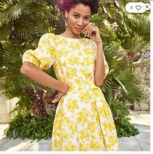 Ann Taylor Drop Waist Lemon Dress Size 2, without belt